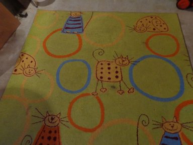 Dywan przed czyszczeniem